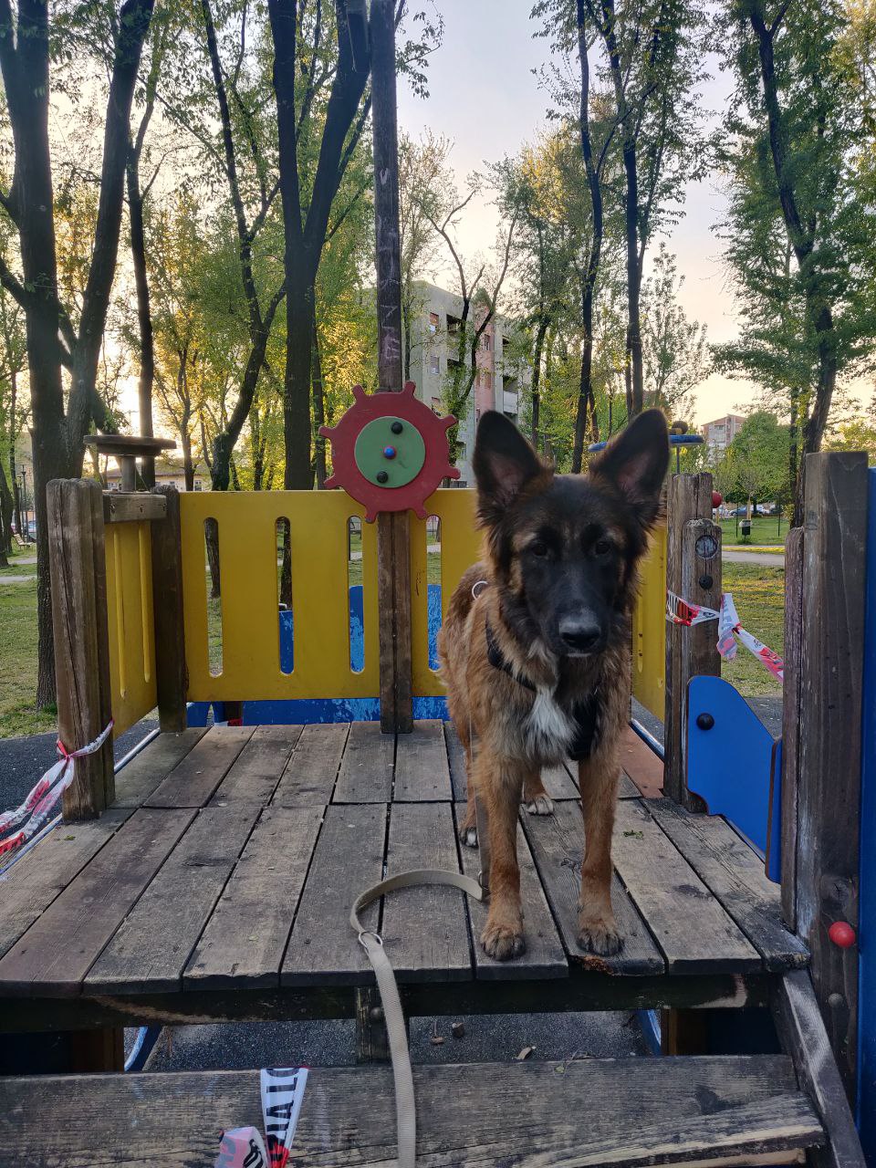 Capitan Luna
